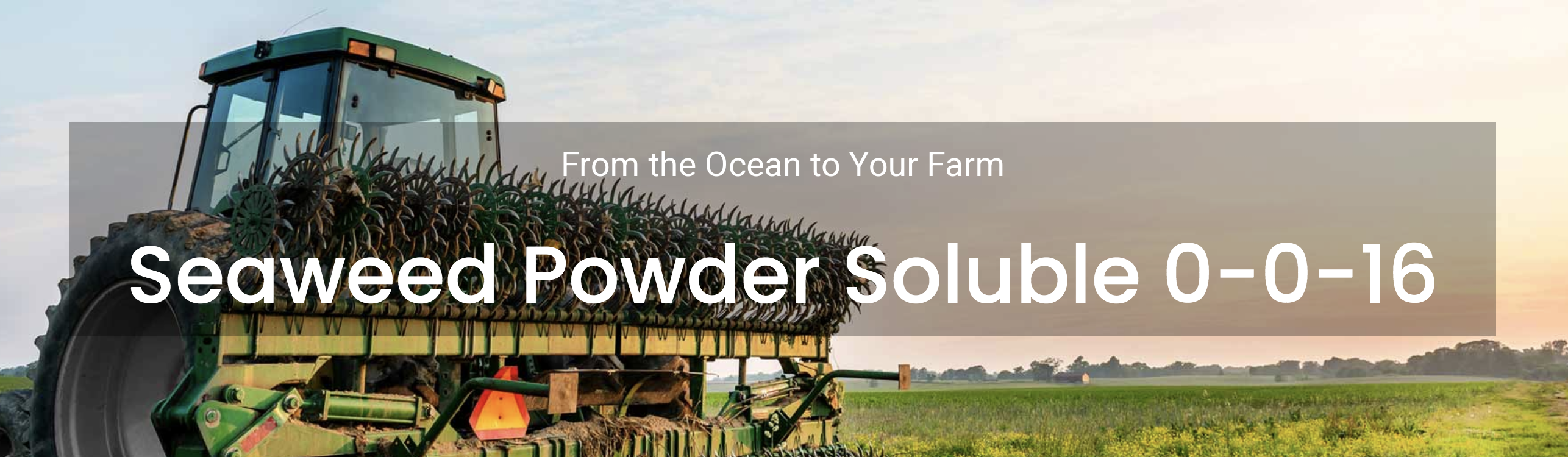 Seaweed 0-0-16 illustration